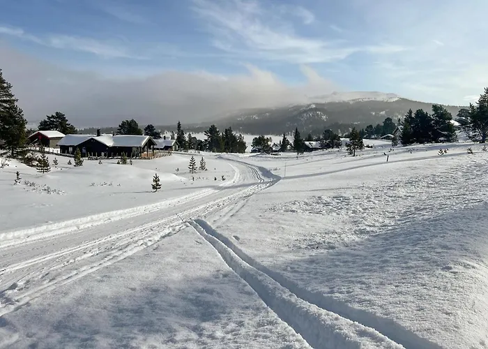 Vakantiehuis Gorgeous In With Sauna *