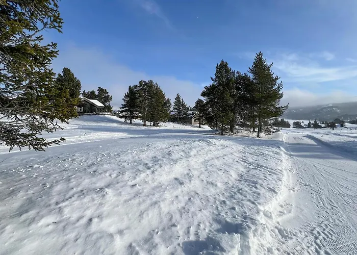 Gorgeous In With Sauna * Kvam (Oppland)